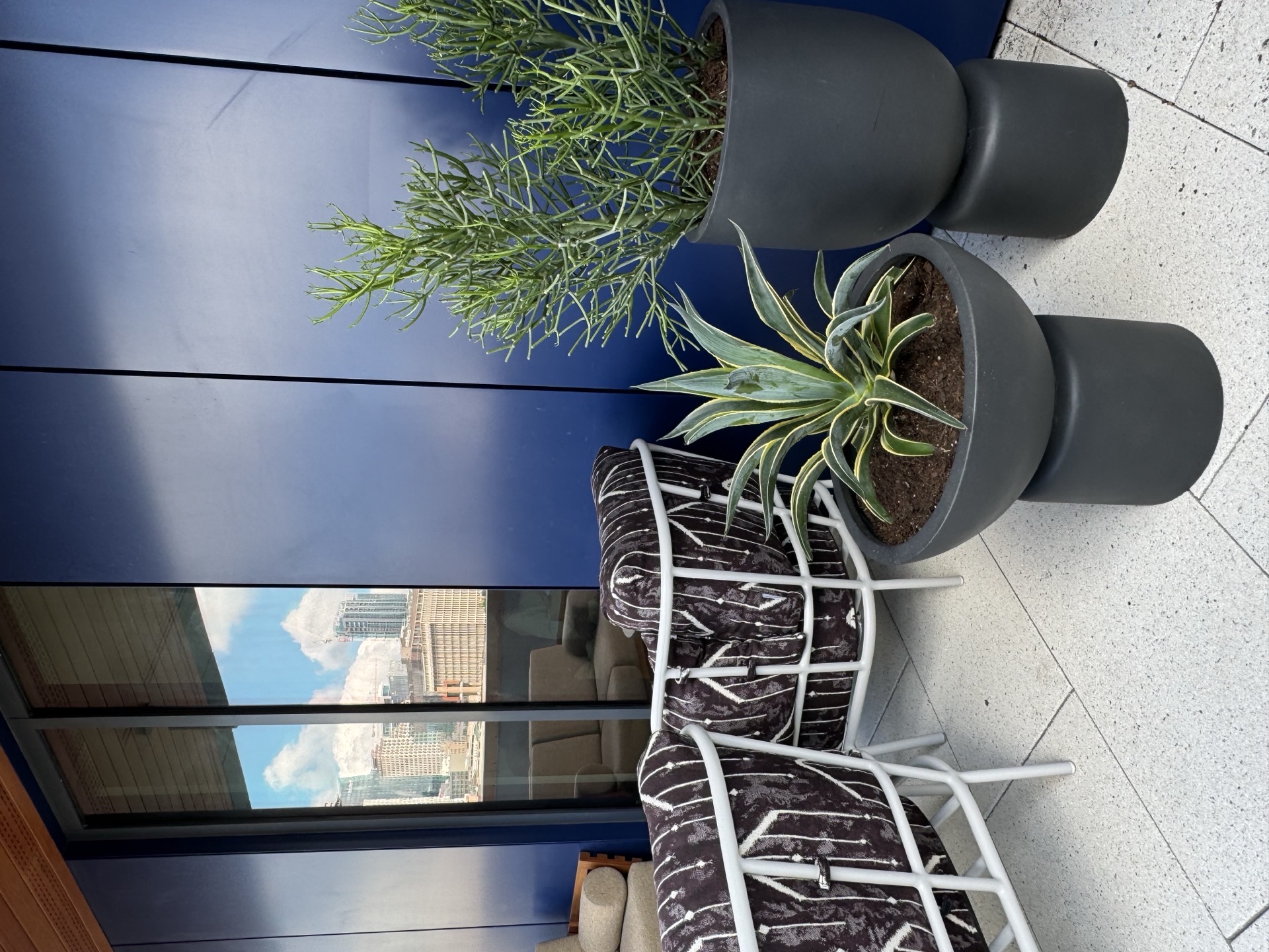 Office balcony with sleek black planters containing agave and rosemary