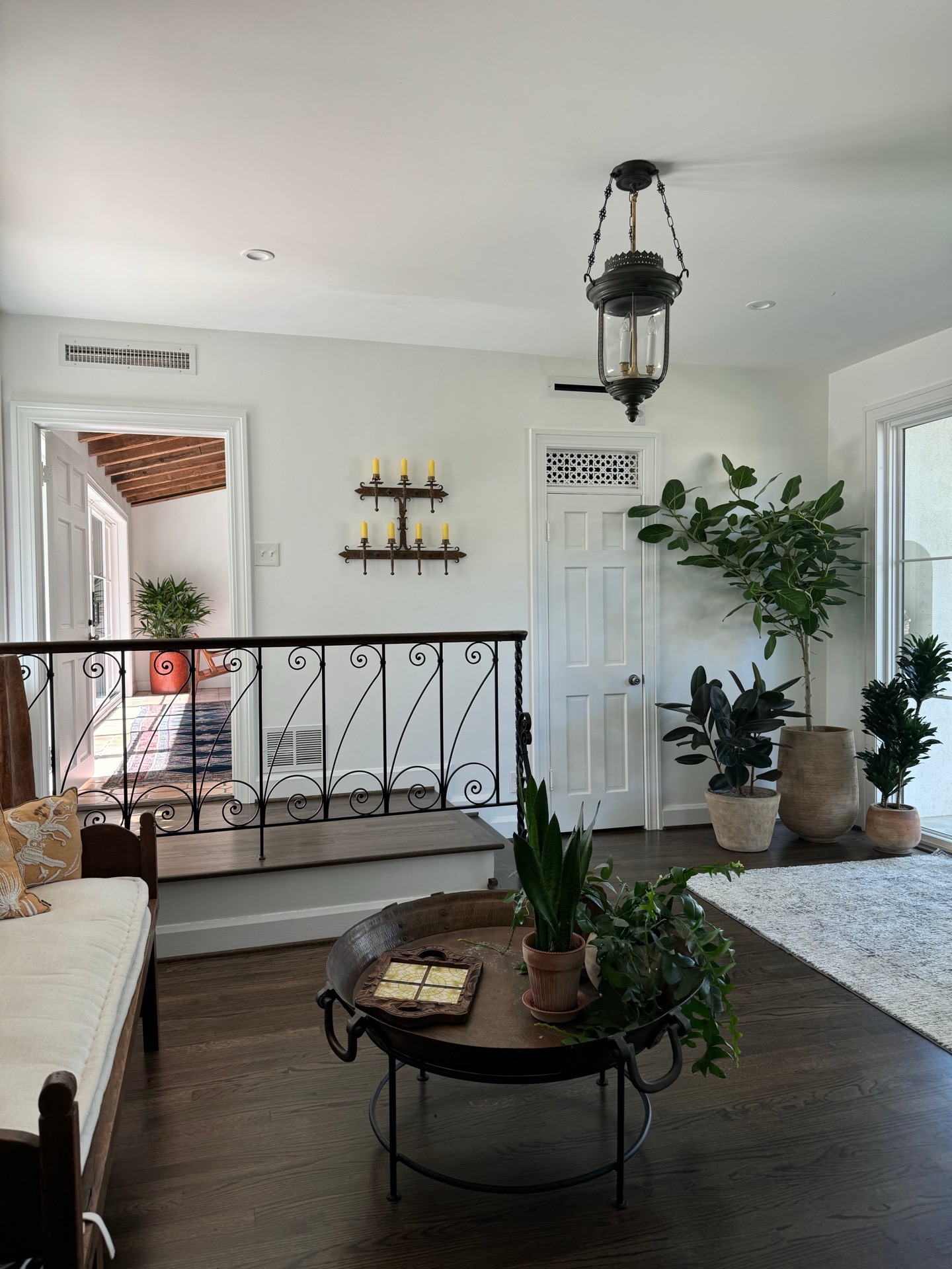 Elegant interior plant arrangement with snake plants and fiddle leaf figs