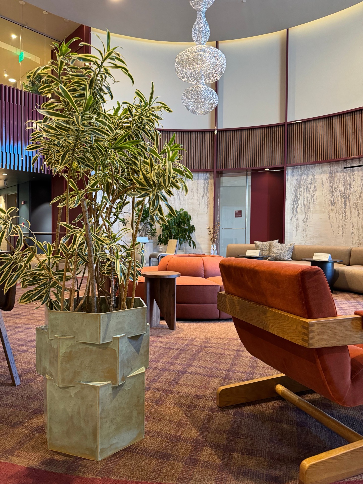 Statement plant installation in geometric brass planter for commercial lobby